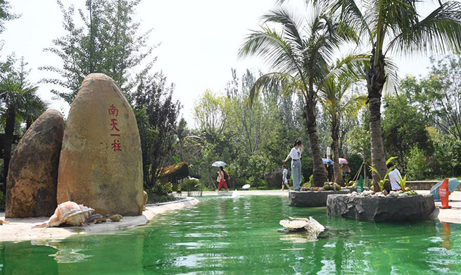 Tropical island landscape observed at Beijing's horticultural expo