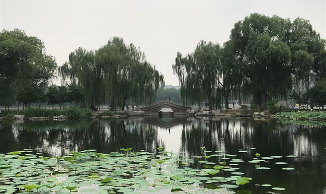 Summer scenery in Beijing