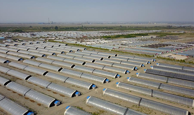 Greenhouses set up in desert to develop eco agriculture in NW China's Gansu