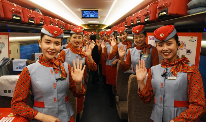 Tourism experience high-speed train starts journey in E China's Shandong
