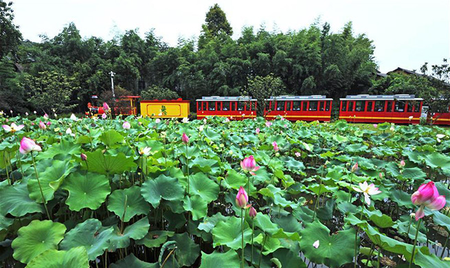 Rural per capita disposable income in Zhejiang reaches 29,876 yuan in 2019