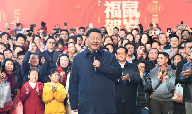 Xi inspects Spring Festival shopping fair in Kunming