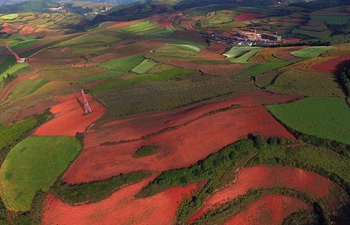 View of red land in Kunming, SW China's Yunnan
