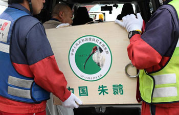 Crested ibises gifted by China arrive in Japan as symbol of friendship