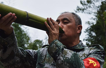 In pics: bamboo forest rangers in SW China's Guizhou