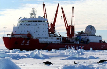 Penguins seen near China's research icebreaker Xuelong in Antarctica