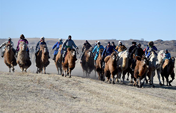 Highlights of Nadam Fair in north China's Inner Mongolia