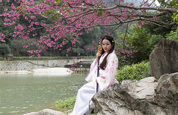 People pose for photos with cherry blossoms in China's Fujian