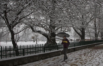In pics: snow-covered Srinagar city