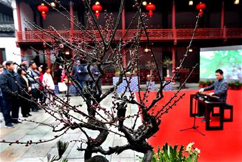 Potted plum exhibition kicks off in Shanghai