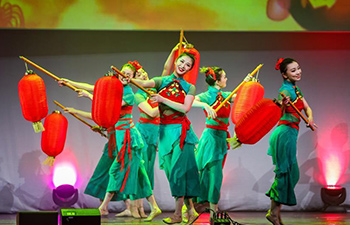 Chinese artists perform at Spring Festival gala in Dublin