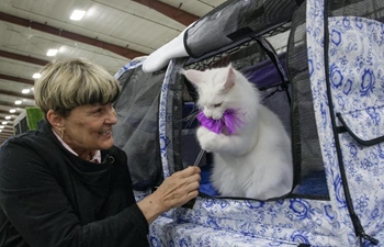 Cat show held in Vancouver, Canada