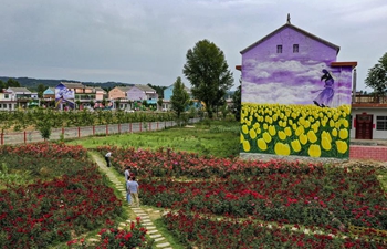Rose town attracts many tourists in northwest China's Shaanxi