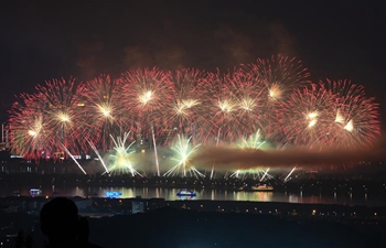 Fireworks illuminate sky to mark China-African Economic and Trade Expo