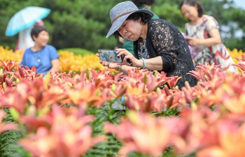 Lily of Changchun Park attracts lots of visitors