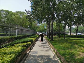 Scenery of small park in Beijing