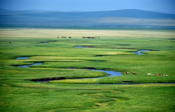 Pasture scenery in East Ujimqin Banner, N China's Inner Mongolia