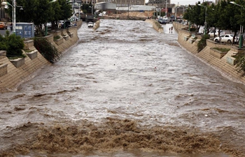 Street flooded after heavy rain in Sanaa, Yemen