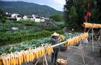 Farmers air corns in Huangshan, east China's Anhui