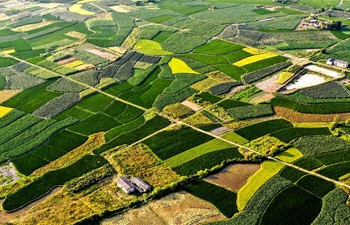 Scenery of fields at Jishan Village in S China's Guangxi