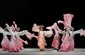 Chinese opera "The Peony Pavilion" staged in Mexico