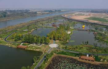 In pics: Fangwan Wetland Park in China's Jiangsu