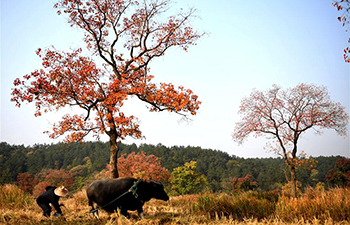 Autumn scenery of Dabieshan Mountain in Xinyang, China's Henan