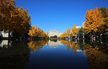 In pics: scenery of Tsinghua University in Beijing