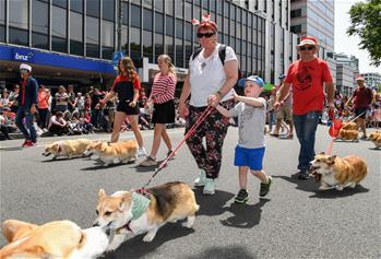 People participate in annual Christmas parade in Wellington, New Zealand