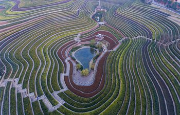 Aerial view of terraced fields in Shexiang ancient town, China's Guizhou