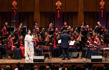 Concert featuring Chinese folk music charms audience in Washington