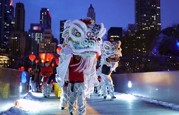 Event called "Lantern Celebration" held in Chicago, U.S.