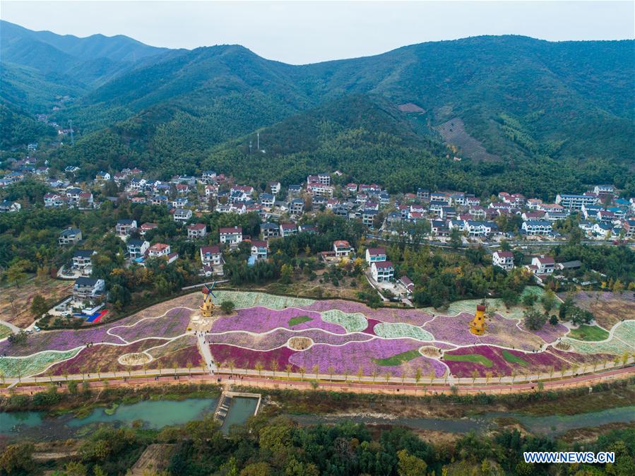CHINA-ZHEJIANG-CHANGXING-FLOWER (CN)