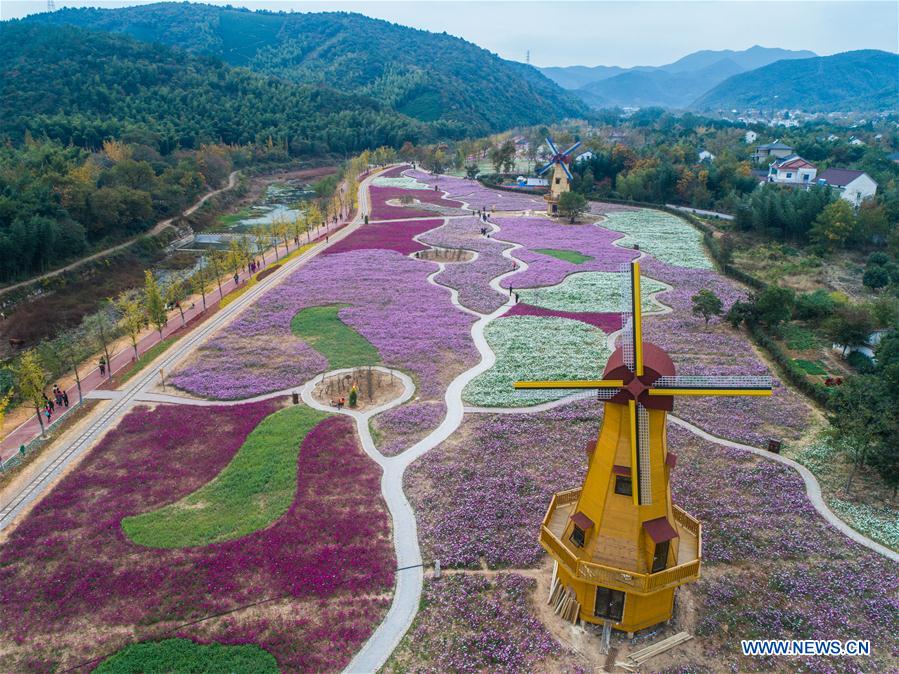 CHINA-ZHEJIANG-CHANGXING-FLOWER (CN)