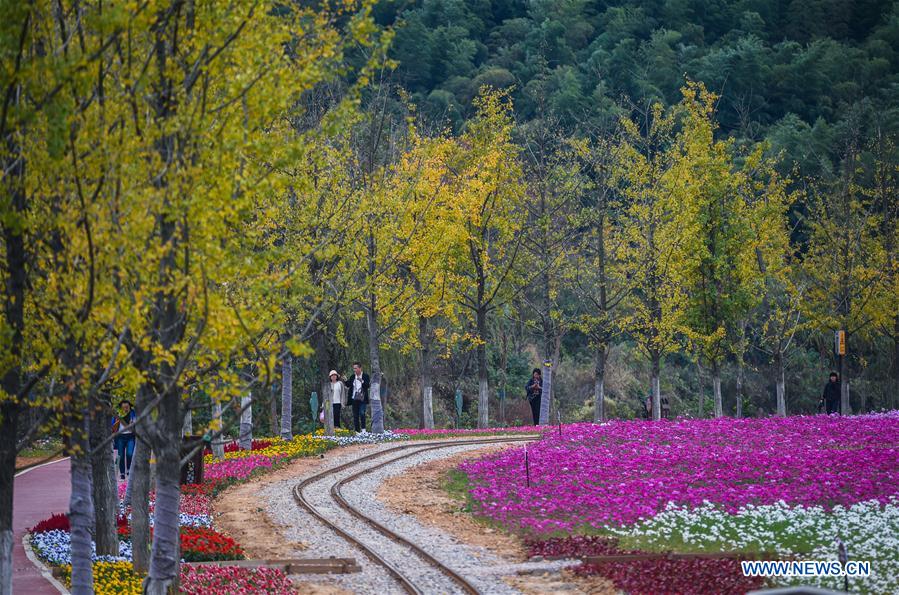 CHINA-ZHEJIANG-CHANGXING-FLOWER (CN)