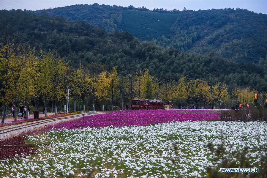CHINA-ZHEJIANG-CHANGXING-FLOWER (CN)