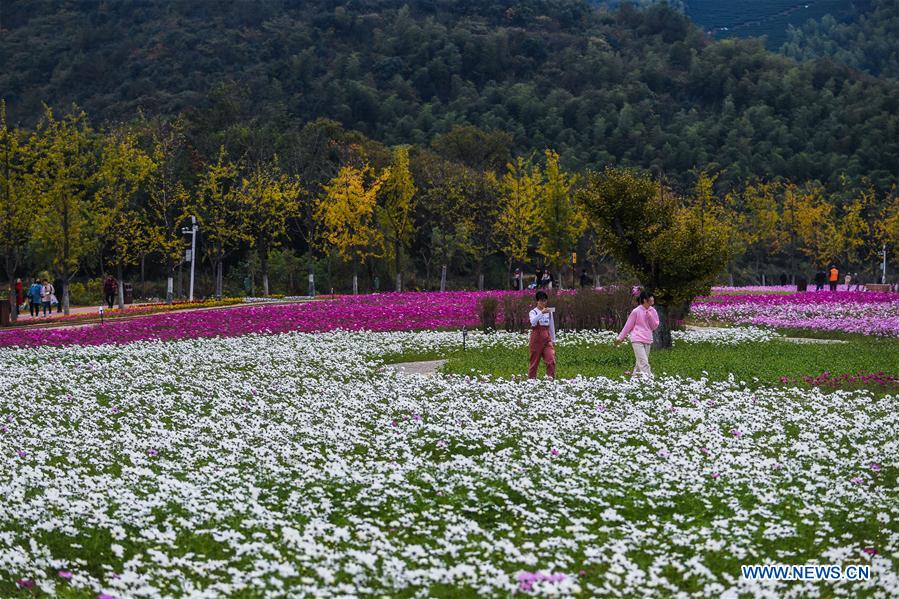 CHINA-ZHEJIANG-CHANGXING-FLOWER (CN)
