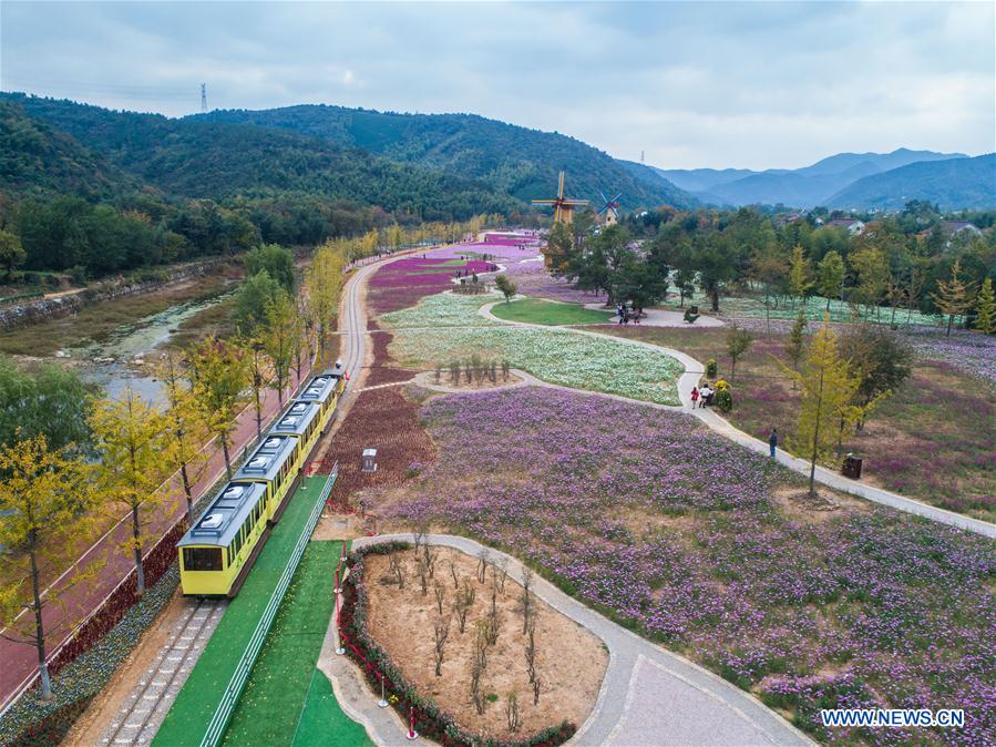 CHINA-ZHEJIANG-CHANGXING-FLOWER (CN)