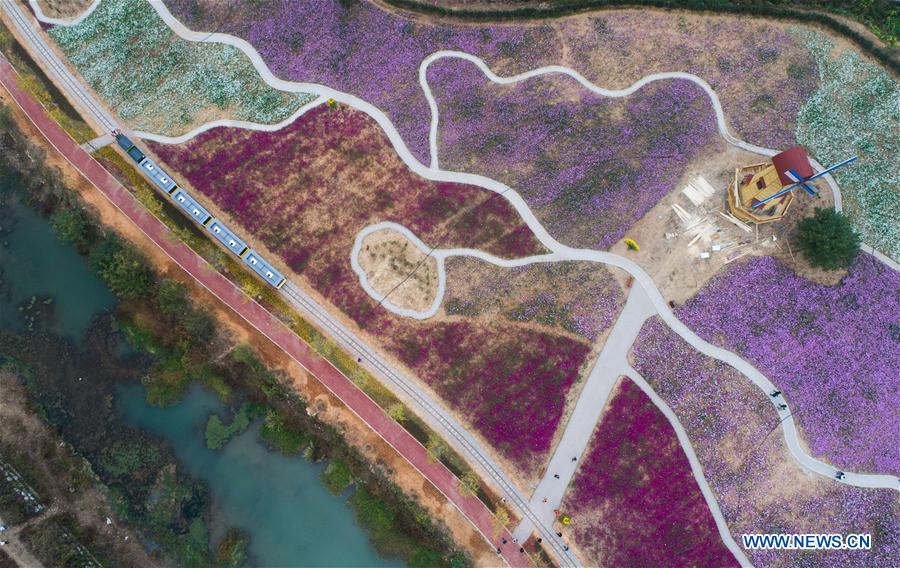 CHINA-ZHEJIANG-CHANGXING-FLOWER (CN)