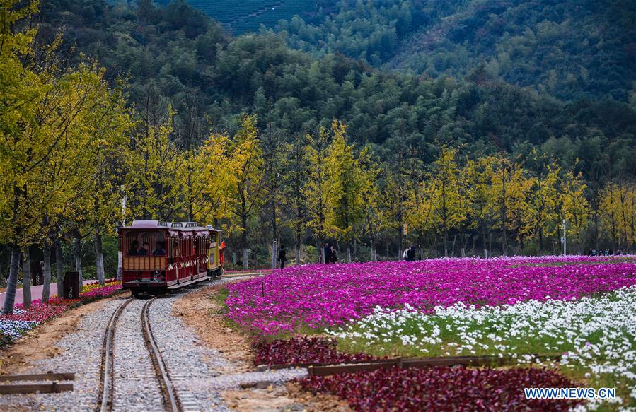 CHINA-ZHEJIANG-CHANGXING-FLOWER (CN)