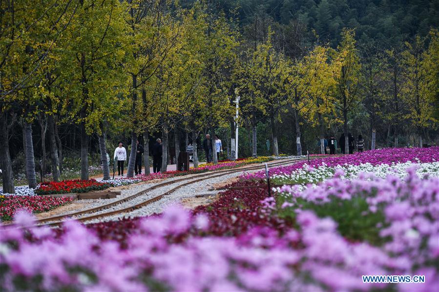 CHINA-ZHEJIANG-CHANGXING-FLOWER (CN)
