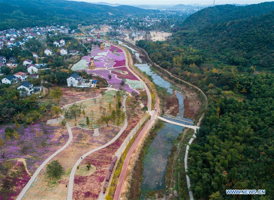 CHINA-ZHEJIANG-CHANGXING-FLOWER (CN)
