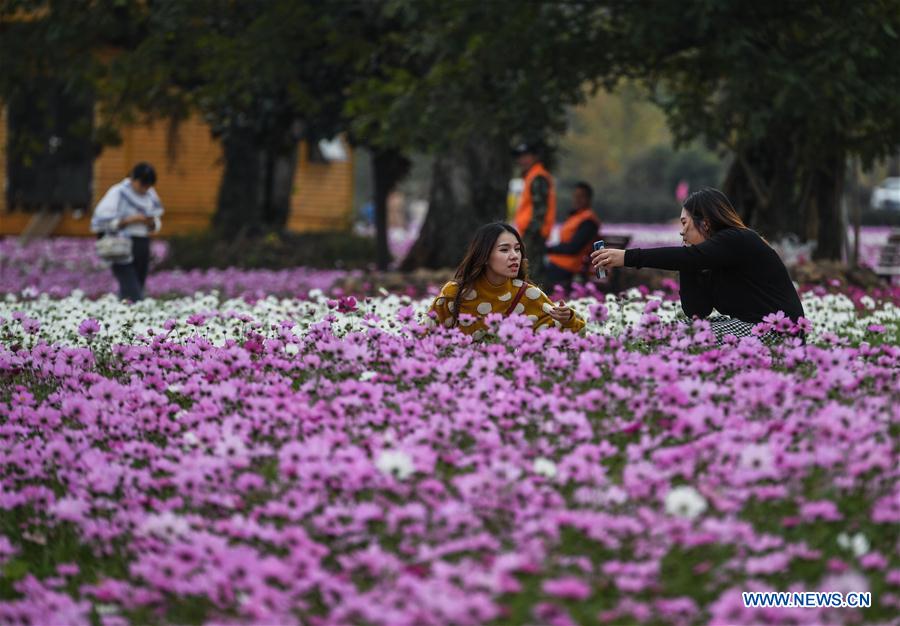 CHINA-ZHEJIANG-CHANGXING-FLOWER (CN)