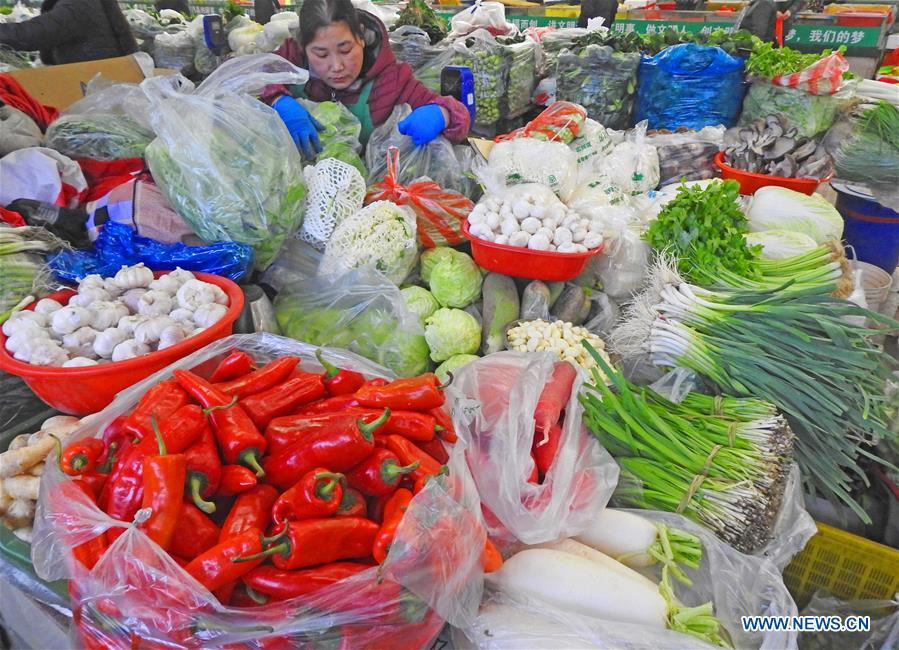 #CHINA-JANUARY-CPI-RISE (CN)