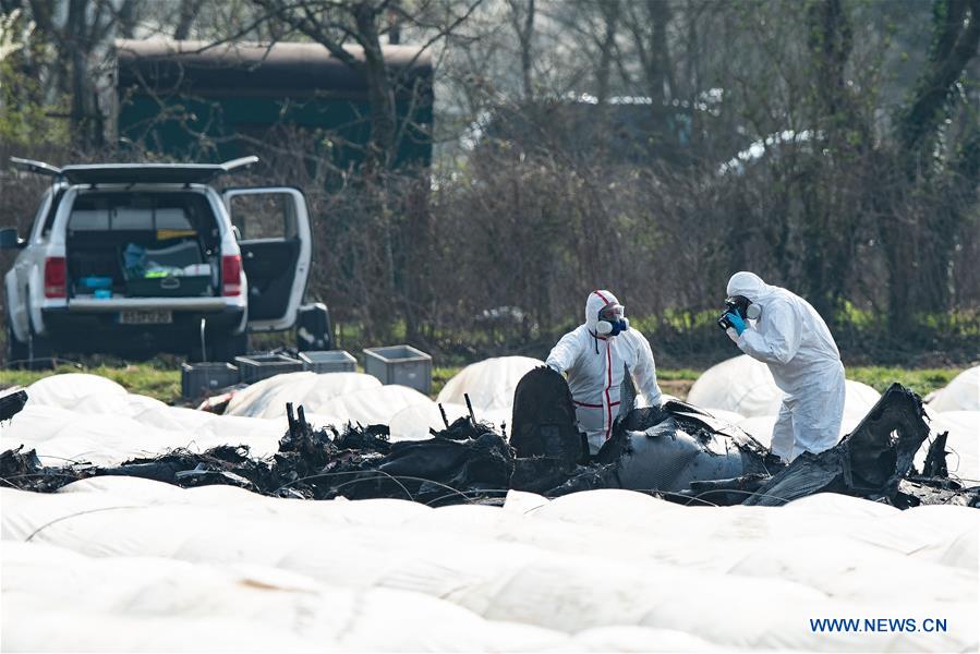 GERMANY-ERZHAUSEN-AIR CRASH-INVESTIGATION
