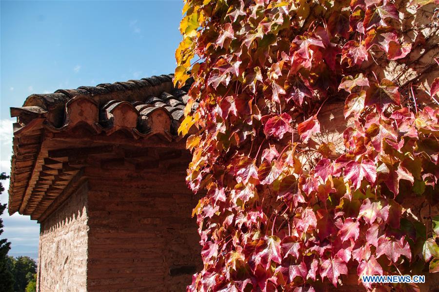 SPAIN-GRANADA-ALHAMBRA PALACE