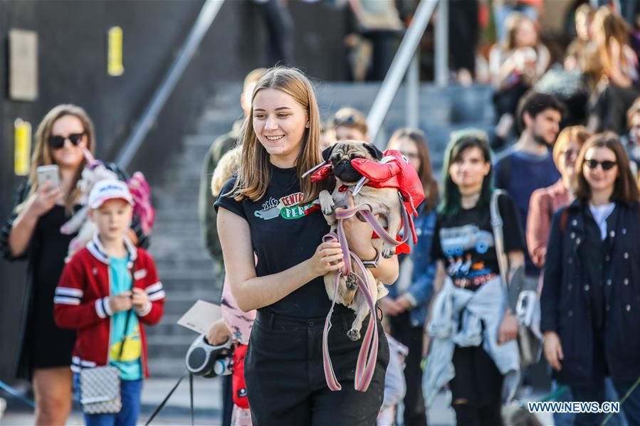 RUSSIA-MOSCOW-DOG-PARTY