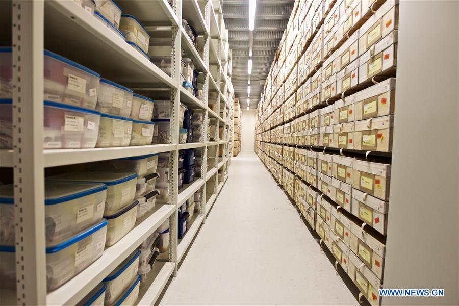 NETHERLANDS-LEIDEN-NATURALIS BIODIVERSITY CENTER-REOPENING