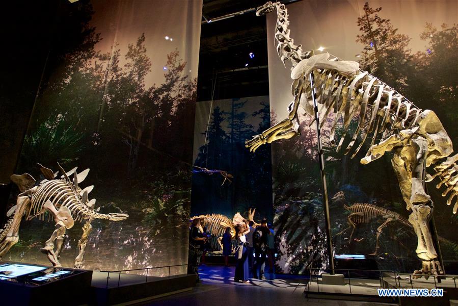 NETHERLANDS-LEIDEN-NATURALIS BIODIVERSITY CENTER-REOPENING