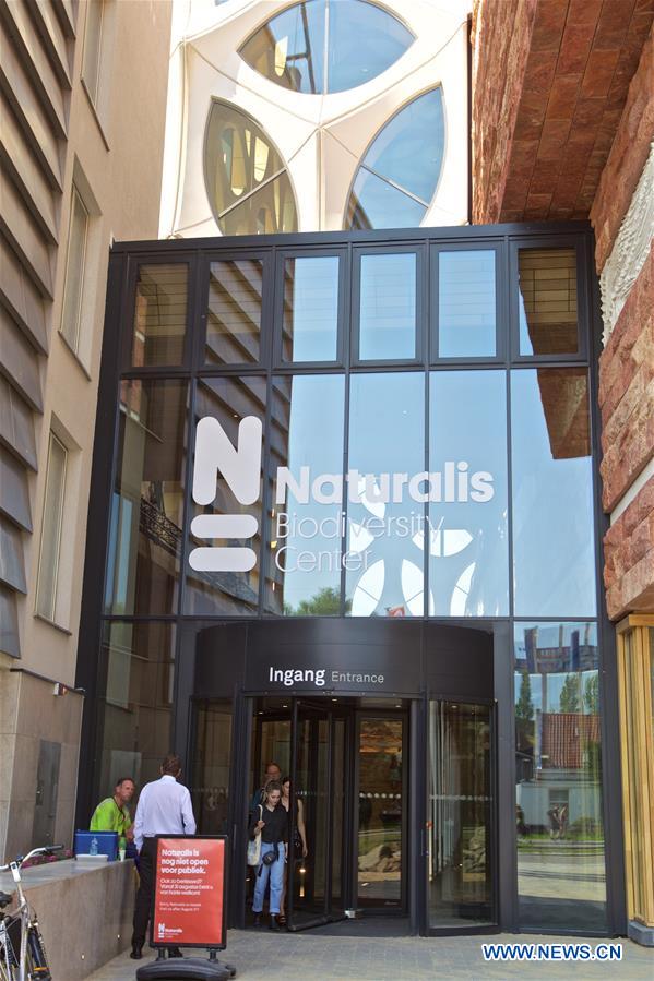 NETHERLANDS-LEIDEN-NATURALIS BIODIVERSITY CENTER-REOPENING